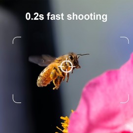 Outdoor 36MP Trail Camera 2k 120 Detection Range IP65 Waterproof No Glow Night Vision Wildlife Monitoring Trap Game Cam
